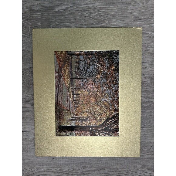 Vintage Silvery Fantasy Foil Engraving Print Fall Leaves Autumn Trees USA - Picture 5 of 13